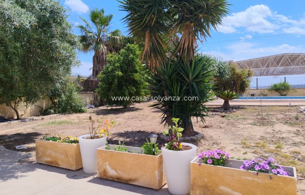 Herverkoop - Country Property/Finca - Los Montesinos - Costa Blanca