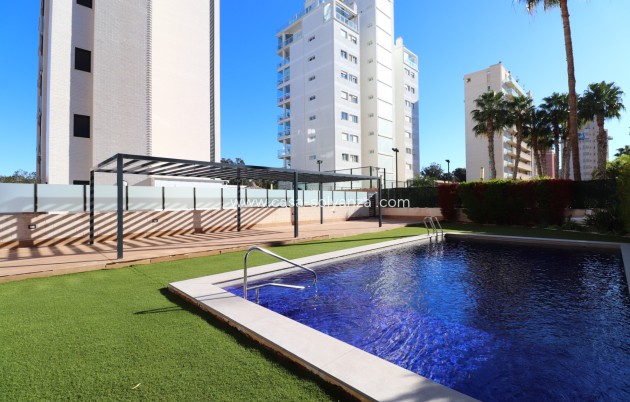 Revente - Appartement - Guardamar del Segura - Guardamar del Segura - Town