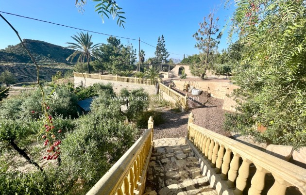 Reventa - Country Property/Finca - Crevillente - Inland
