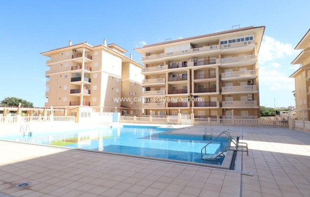 Herverkoop - Appartement / flat - Torrevieja - Costa Blanca