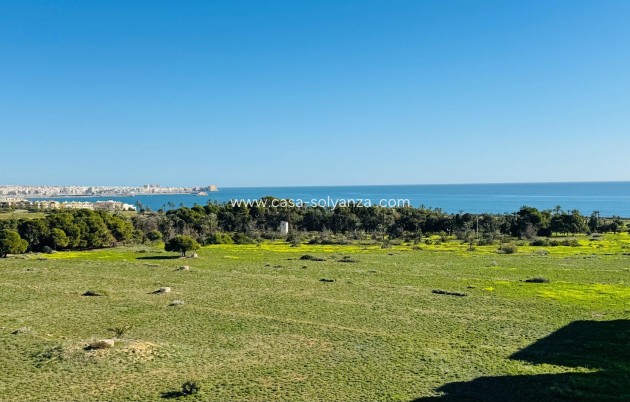 Reventa - Apartamento / piso - Torrevieja - Punta Prima