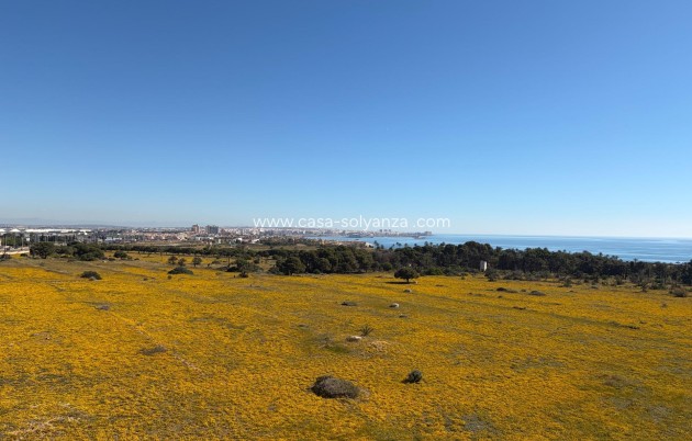 Reventa - Apartamento / piso - Torrevieja - Punta Prima