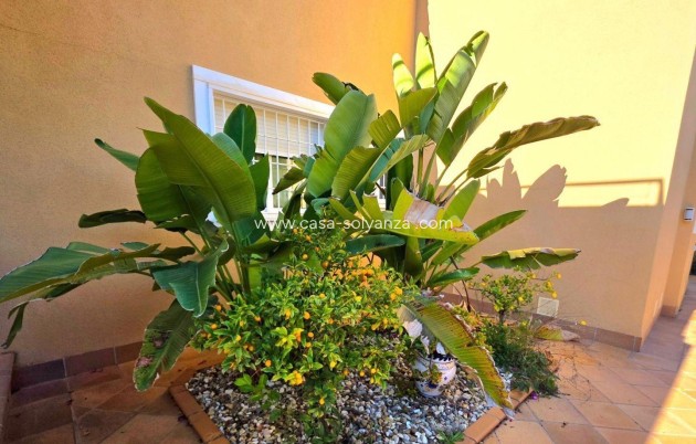 Herverkoop - Villa - Dehesa de campoamor - Campoamor