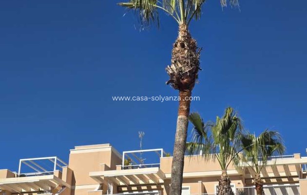 Herverkoop - Appartement / flat - Orihuela Costa - Los Dolses