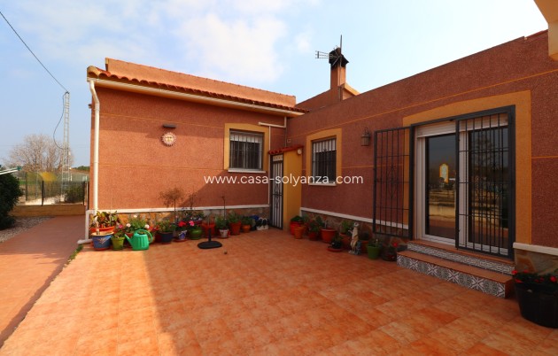 Reventa - Country Property/Finca - Daya Vieja - Daya vieja