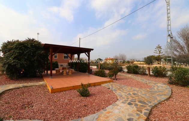 Reventa - Country Property/Finca - Daya Vieja - Daya vieja