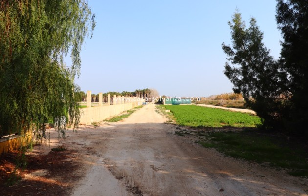 Reventa - Country Property/Finca - Daya Vieja - Daya vieja
