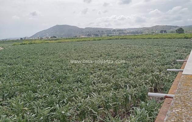 Herverkoop - Country Property/Finca - Orihuela - BUENA VIDA DESAMPARADOS