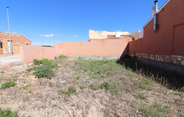 Revente - Land - Daya Nueva - Daya Nueva - Town