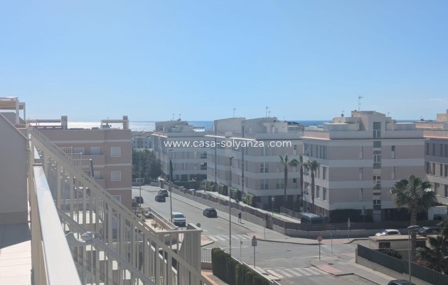 Herverkoop - Appartement / flat - Villamartin - Costa Blanca