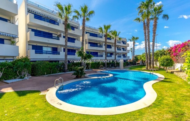 Herverkoop - Appartement / flat - Orihuela Costa - La Calma