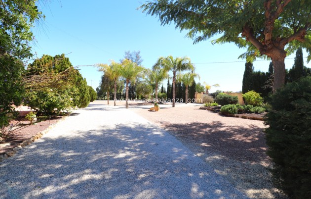 Resale - Country Property/Finca - Callosa de Segura - Callosa de Segura - Country