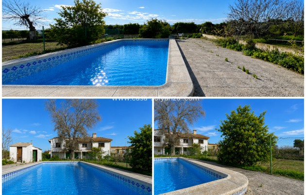 Herverkoop - Villa - Benejuzar - Inland