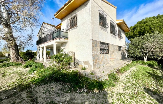 Herverkoop - Villa - Benejuzar - Inland