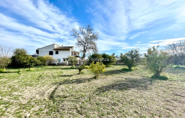 Herverkoop - Villa - Benejuzar - Inland