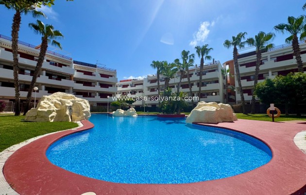 Herverkoop - Appartement / flat - Orihuela Costa - Punta Prima