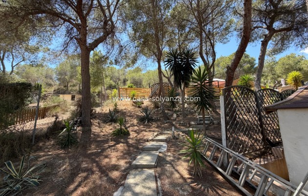 Herverkoop - Country Property/Finca - Orihuela - Torremendo