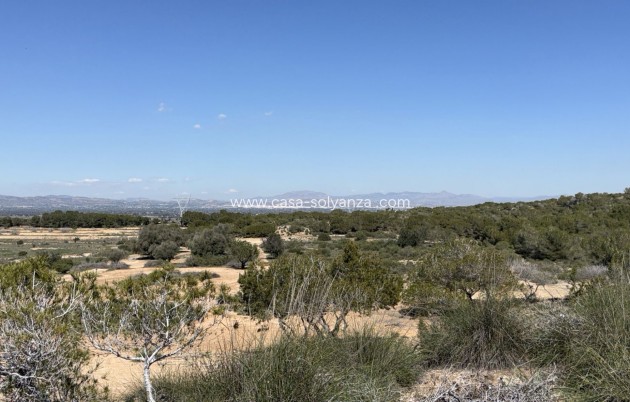 Herverkoop - Land - San Fulgencio - Costa Blanca