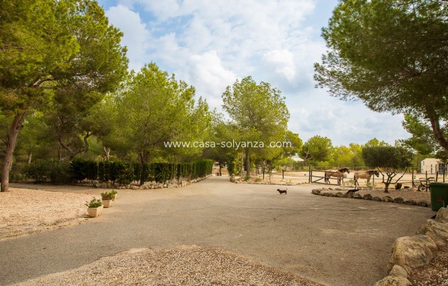 Herverkoop - Country Property/Finca - Torremendo - Costa Blanca