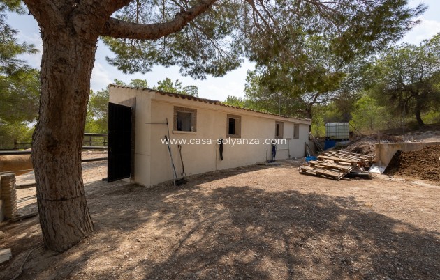 Herverkoop - Country Property/Finca - Torremendo - Costa Blanca