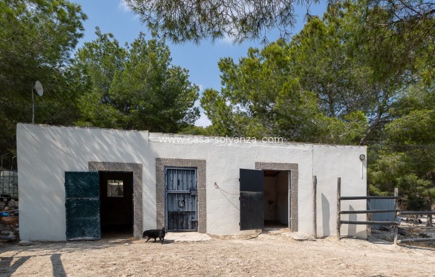 Herverkoop - Country Property/Finca - Torremendo - Costa Blanca
