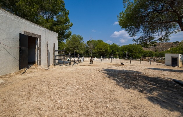Herverkoop - Country Property/Finca - Torremendo - Costa Blanca