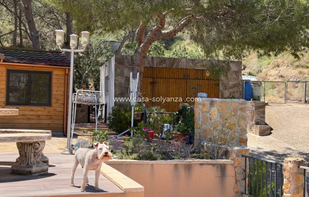 Herverkoop - Country Property/Finca - Orihuela - Inland