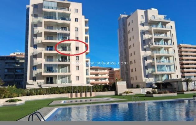 Herverkoop - Appartement / flat - Torrevieja - Costa Blanca