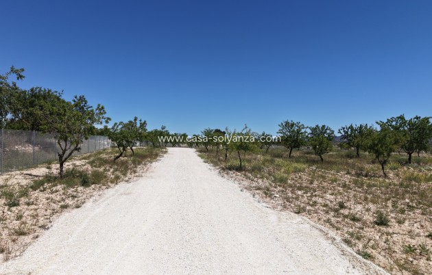 Herverkoop - Land - Pinoso - Inland