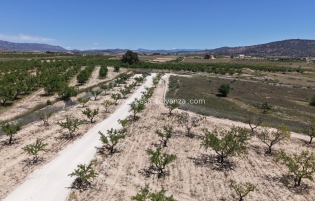 Herverkoop - Land - Pinoso - Inland