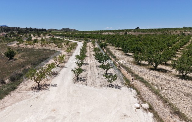 Herverkoop - Land - Pinoso - Inland