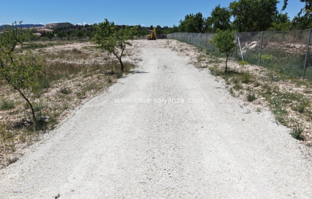 Herverkoop - Land - Pinoso - Inland
