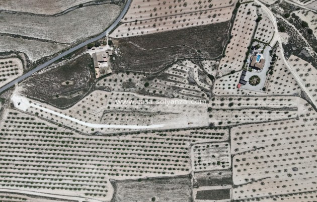 Herverkoop - Land - Pinoso - Inland