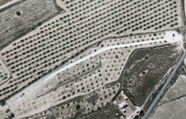Herverkoop - Land - Pinoso - Inland