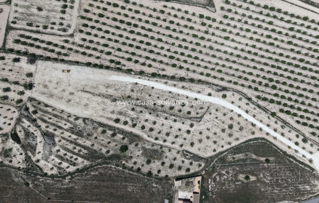Herverkoop - Land - Pinoso - Inland