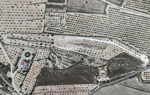 Herverkoop - Land - Pinoso - Inland