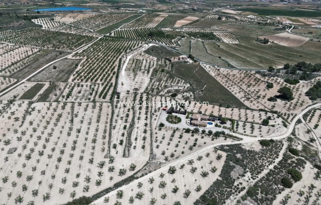 Herverkoop - Land - Pinoso - Inland