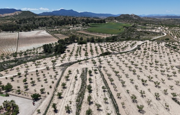 Herverkoop - Land - Pinoso - Inland