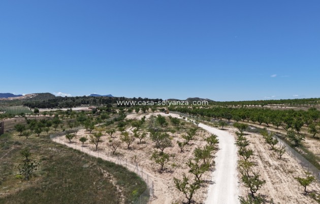 Herverkoop - Land - Pinoso - Inland