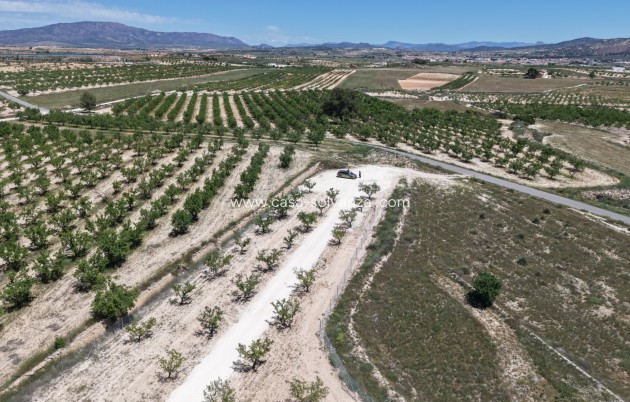 Herverkoop - Land - Pinoso - Inland