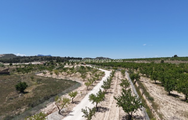 Herverkoop - Land - Pinoso - Inland