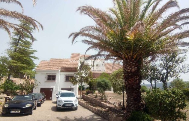 Wiederverkauf - Kommerziell - Ayora