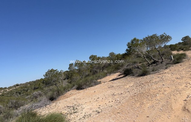 Herverkoop - Land and Plots - San Fulgencio - La Marina