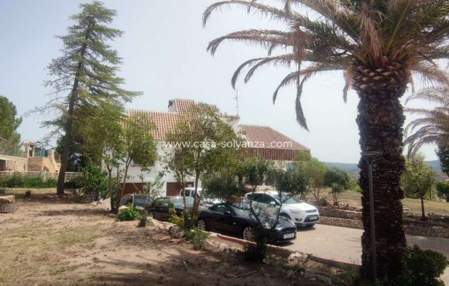 Wiederverkauf - Kommerziell - Ayora