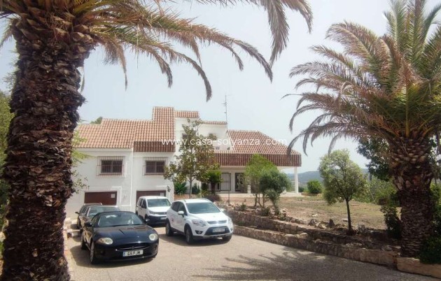 Wiederverkauf - Kommerziell - Ayora