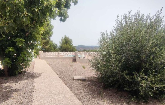 Wiederverkauf - Kommerziell - Ayora