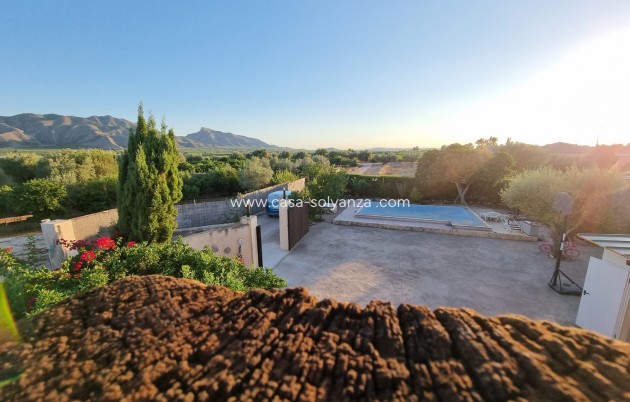 Herverkoop - Villa - ORIHUELA - Benferri