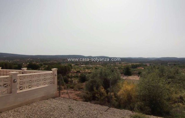 Wiederverkauf - Kommerziell - Ayora