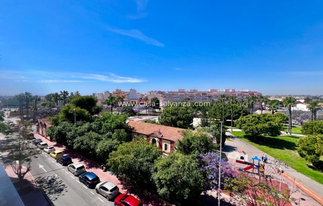 Herverkoop - Appartement / flat - Torrevieja - Acequion
