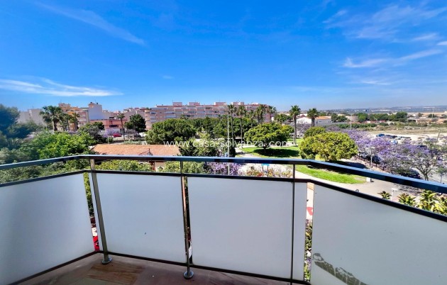 Herverkoop - Appartement / flat - Torrevieja - Acequion